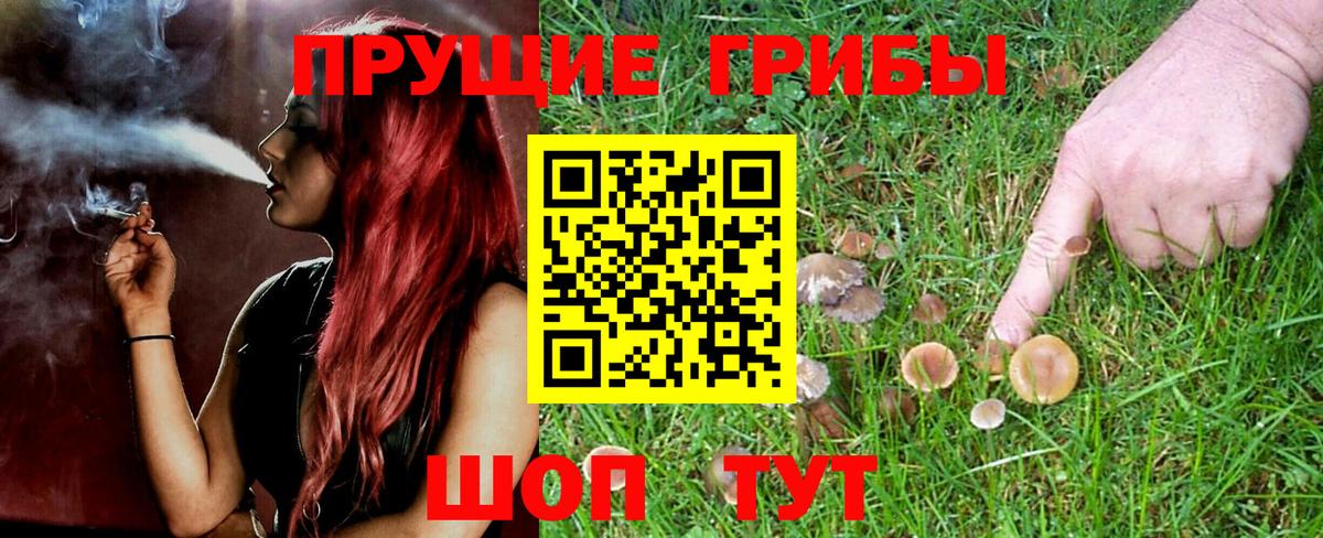 Псилоцибиновые грибы мицелий Лянтор